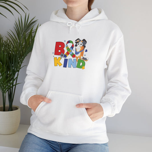 Be Kind Rainbow Ribbon Hoodie — Autism Awareness Cute Penguin Sweatshirt