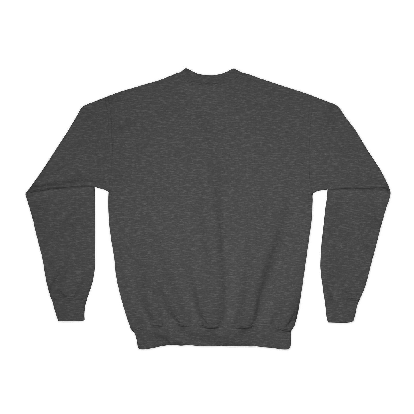 Youth Crewneck Sweatshirt - "Behavior Is Communication" Statement